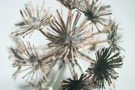 Das Foto zeigt eine moderne Metallskulptur von mehreren abstrahierten Pusteblumen, deren filigrane Blütenstände in unterschiedliche Richtungen weisen.